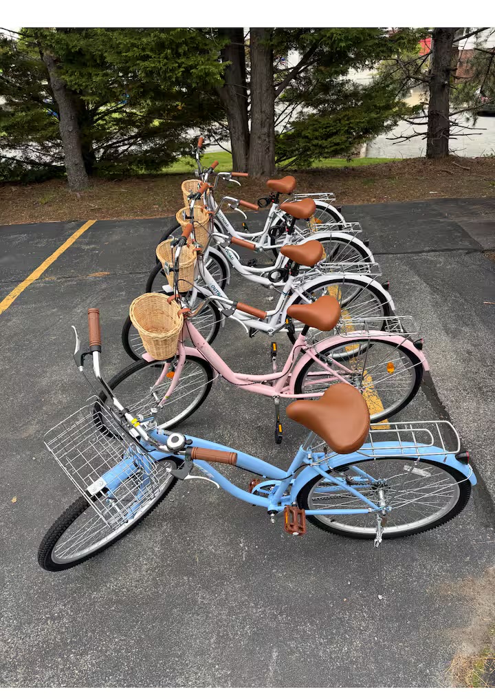Free Bicycle Rentals